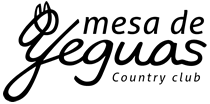 mesadeyeguas_logo